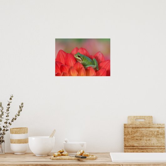 Poster Grenouille du Pacifique sur les fleurs dans notre (Cuisine)