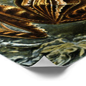 Poster Grenouille et crapaud Ernst Haeckel vintage (Coin)