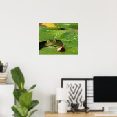 Poster Grenouille et Lily Pads (Bureau à domicile)