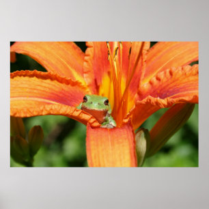 Poster Grenouille-Fleur
