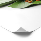 Poster Grenouille Jouant au banjo (Coin)