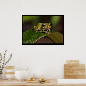Poster Grenouille - Knowsley Safari Park (Cuisine)