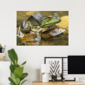 Poster Grenouille le long de la rivière Buffalo, point mi (Bureau à domicile)