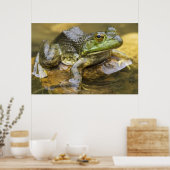 Poster Grenouille le long de la rivière Buffalo, point mi (Cuisine)