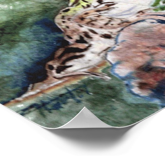 Poster Grenouille léopard (Coin)