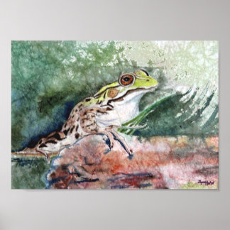 Poster Grenouille léopard