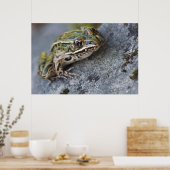 Poster Grenouille léopard du nord, Île transparente, (Cuisine)