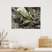 Poster Grenouille léopard R3 (Cuisine)