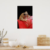 Poster Grenouille marbrée des roseaux (Cuisine)