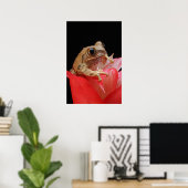 Poster Grenouille marbrée des roseaux (Bureau à domicile)