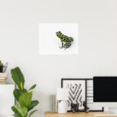 Poster Grenouille noire Poison vert tacheté (Bureau à domicile)
