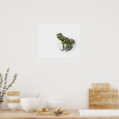 Poster Grenouille noire Poison vert tacheté (Cuisine)