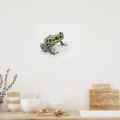 Poster Grenouille noire poison verte tachetée (Ranitomeya (Cuisine)