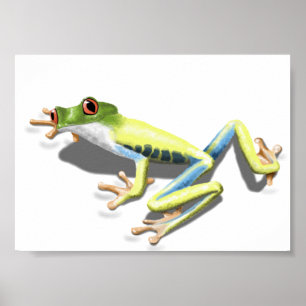 Poster Grenouille observée par rouge