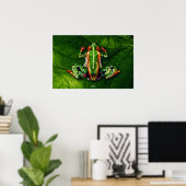 Poster Grenouille par Johannes Stötter (Bureau à domicile)