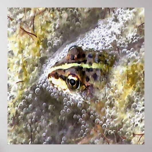 Poster Grenouille plongée dans des bulles d'eau et des mo (Devant)
