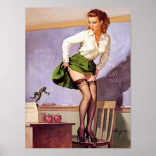 Poster Grenouille pour l'enseignant