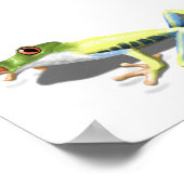 Poster Grenouille rouge (Coin)