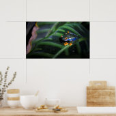 Poster Grenouille rouge aux yeux sur la feuille (Cuisine)