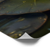 Poster Grenouille Steampunk | Art gothique (Coin)