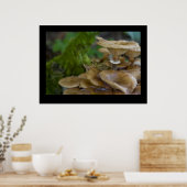 Poster Grenouille sur Toadstool (Cuisine)