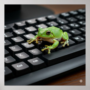 Poster Grenouille sur un clavier d'ordinateur
