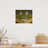 Poster Grenouille-taureau, Pyxicephalus (Cuisine)