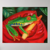 Poster Grenouille tropicale (Devant)