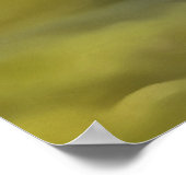 Poster Grenouille verte Camouflée contre lit Patiné River (Coin)