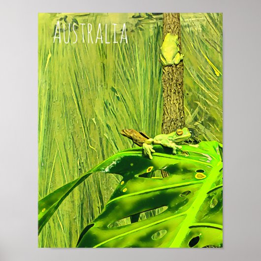 Poster Grenouille verte Grenouille australienne (Devant)