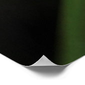 Poster Grenouille verte (Hyla cinerea) 2 (Coin)