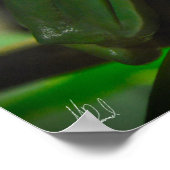 Poster Grenouille verte signée (Coin)