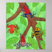 Poster Grenouilles (Devant)