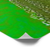 Poster grenouilles (Coin)