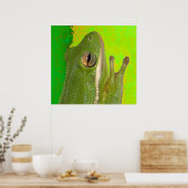 Poster grenouilles (Cuisine)