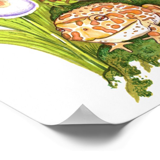 Poster Grenouilles à cornes (Coin)