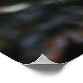 Poster Grenouilles jaunes (Coin)