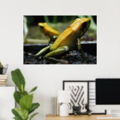 Poster Grenouilles jaunes (Bureau à domicile)