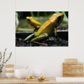 Poster Grenouilles jaunes (Cuisine)