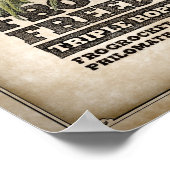 Poster Grenouilles pour la liberté IPA à trois volets (Coin)