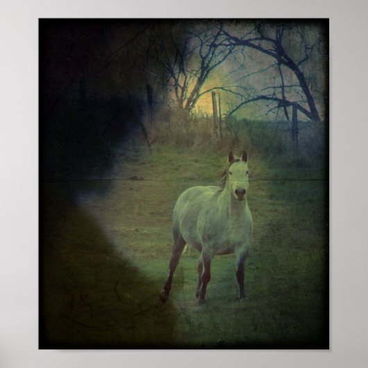 Poster Grey Gallop Grunge (Devant)