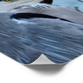 Poster Grey Heron (Coin)