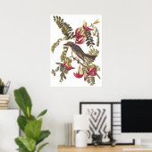 Poster Grey Tyrant Kingbird Audubon Vintage Art Boite (Bureau à domicile)