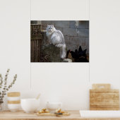 Poster Grey-White Angora Cat (Cuisine)