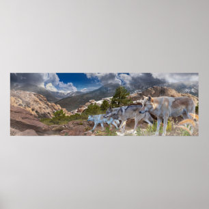 Poster Grey Wolves Family Journey