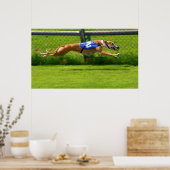 Poster Greyhound (Cuisine)