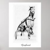 Poster Greyhound (Devant)