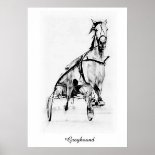 Poster Greyhound