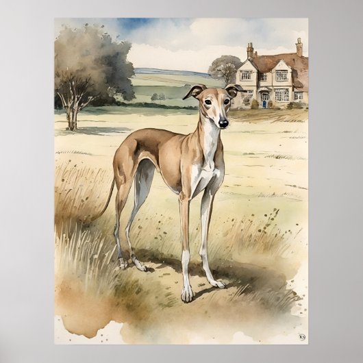 Poster Greyhound - Art Chien Imprimer (Devant)