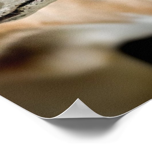 Poster Greyhound Dog (Coin)